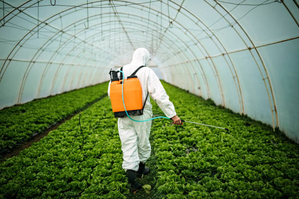 Pest Control for Restaurants in Harvey, IL