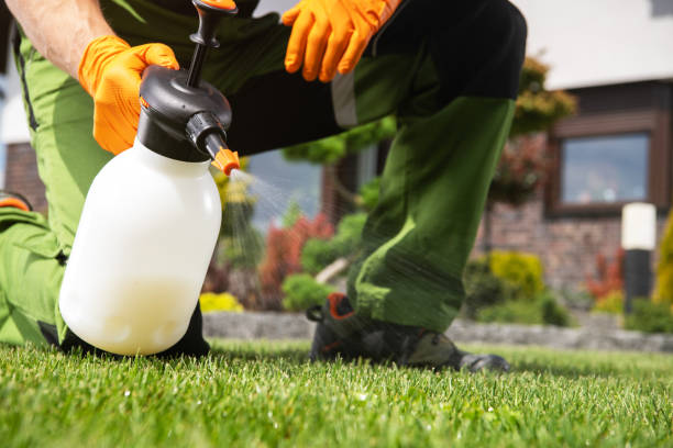 Best Best Pest Control Companies  in Harvey, IL