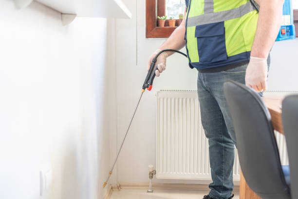 Trusted Harvey, IL Pest Control Experts