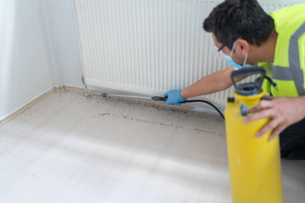 Best Exterminator Services  in Harvey, IL