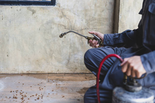 Best Pest Prevention Services  in Harvey, IL